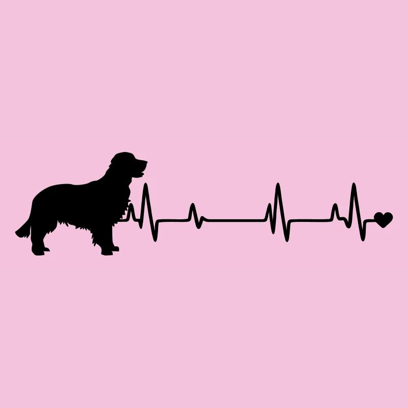 Chien