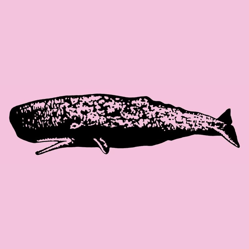 Sperm whale