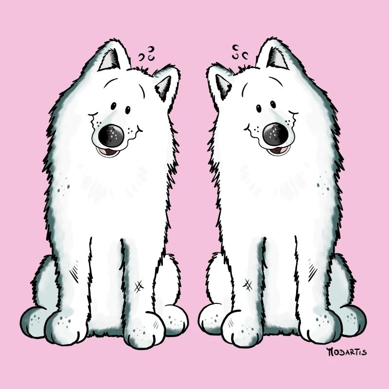 Samoyed Team - Samoyède