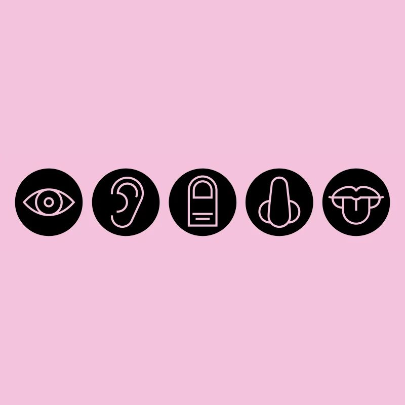 Five senses, sense organs