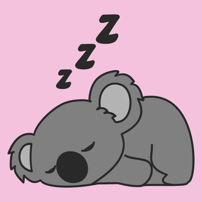 koala endormi