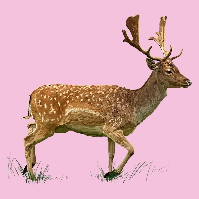 Cerfs dans la forêt d’herbe