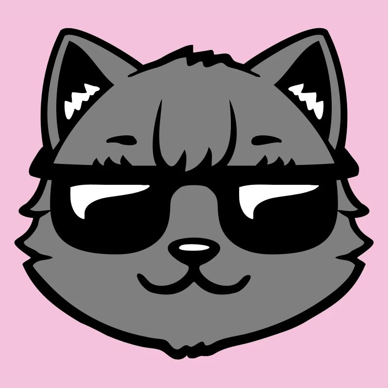 Lunettes de soleil gris chat Look cool style décontracté