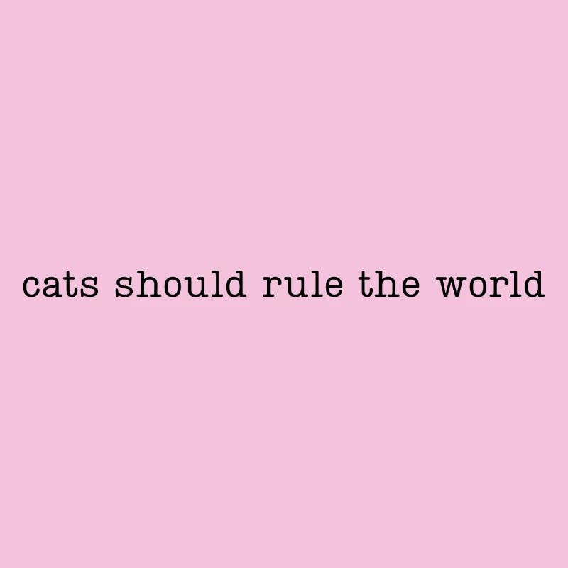 Les chats devraient dominer le monde
