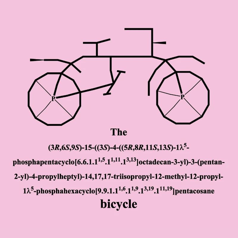 Fahrrad - bicycle