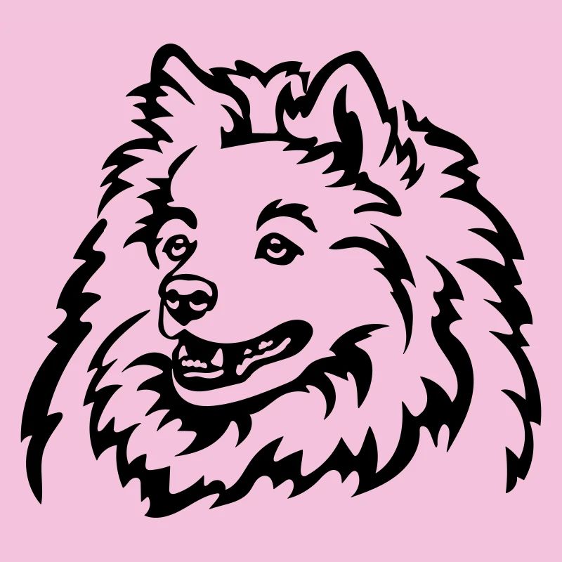 Spitz Kopf
