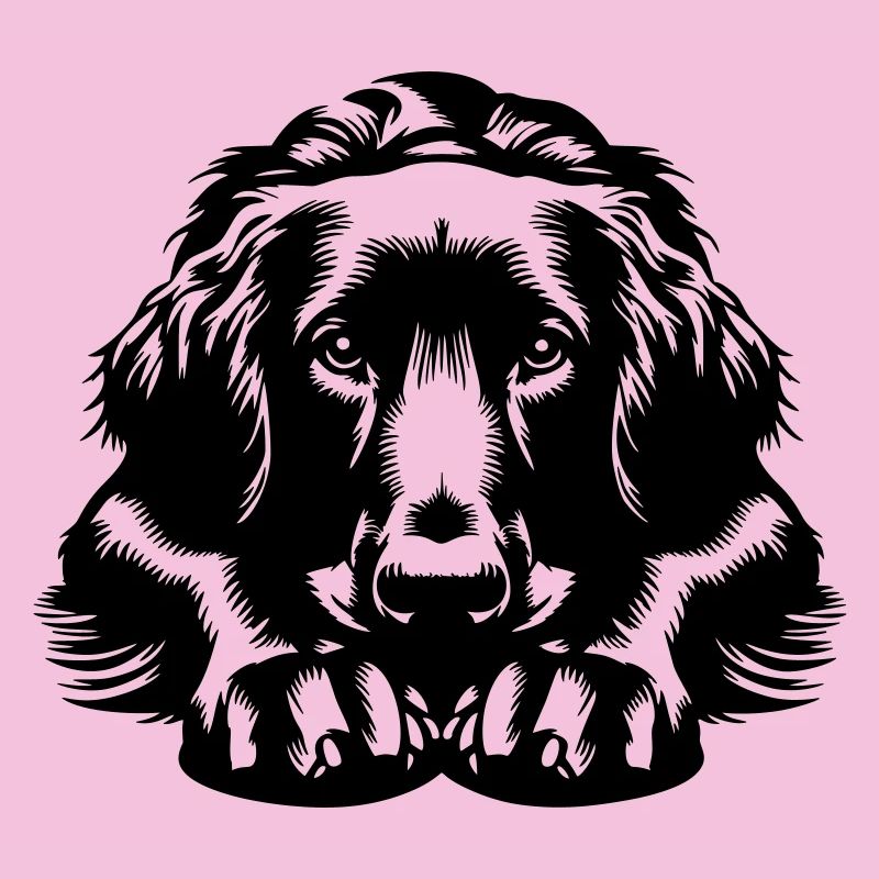 Flat-coated Retriever