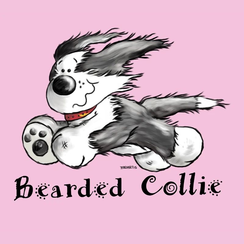 Bearded Collie