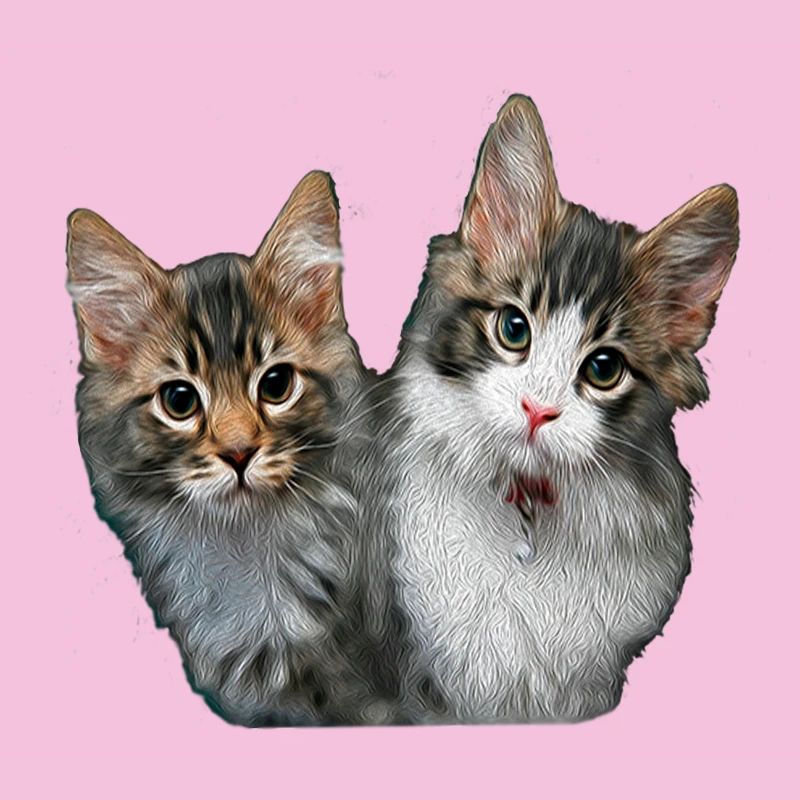 Chatons