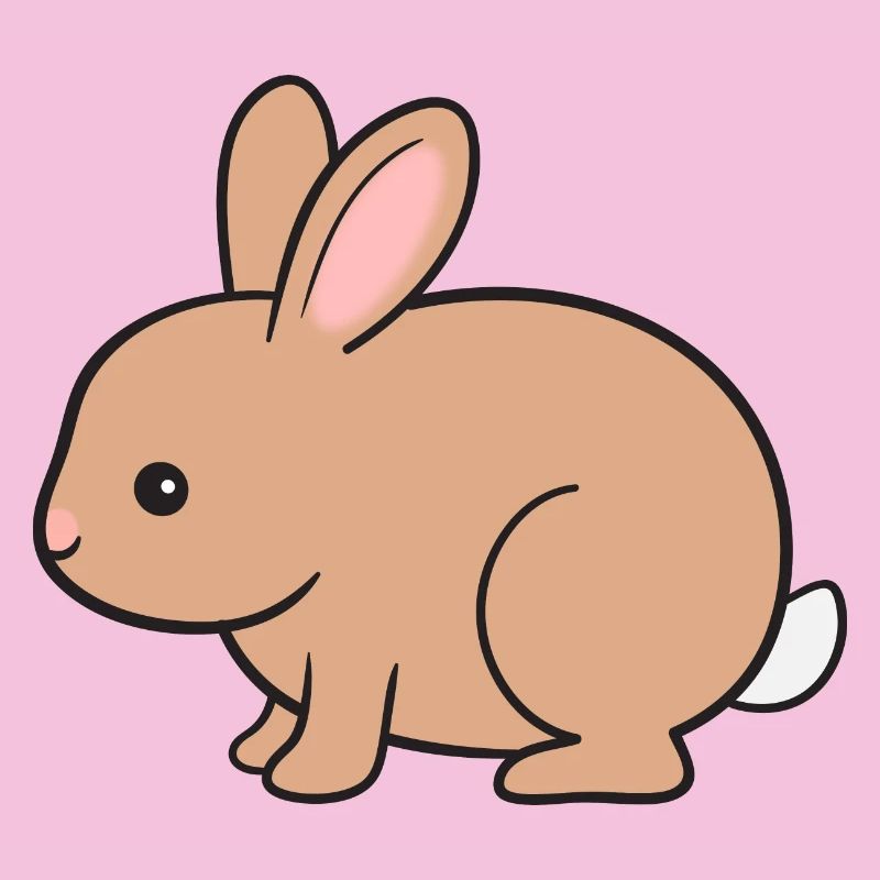 Lapin Lapin
