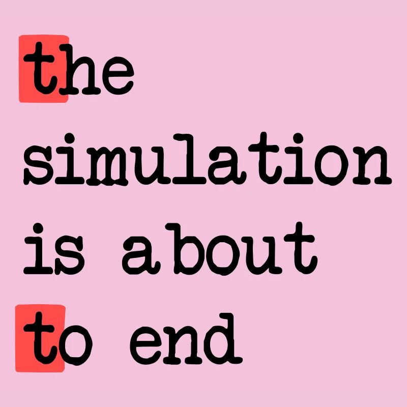 Das Ende der Simulation, Sci-Fi Matrix Humor Shirt