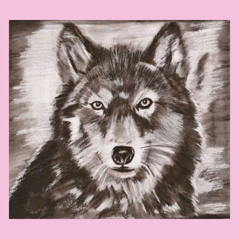 Wolf's Portrait – Powerful Wolf Sketch