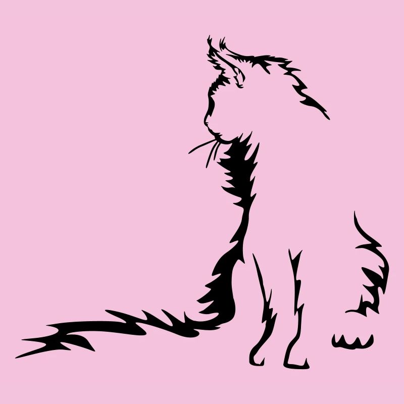 Maine Coon Katze