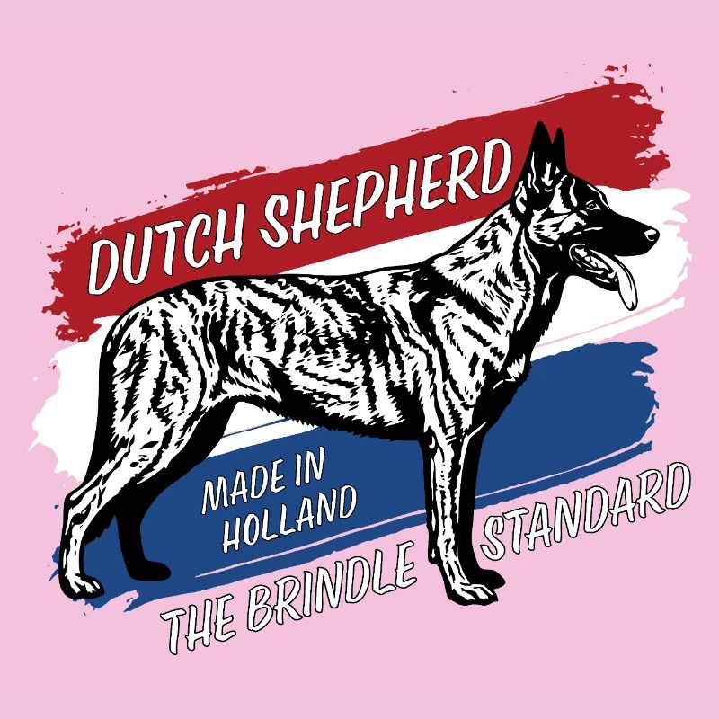 Dutch Shepherd - Dutchie 