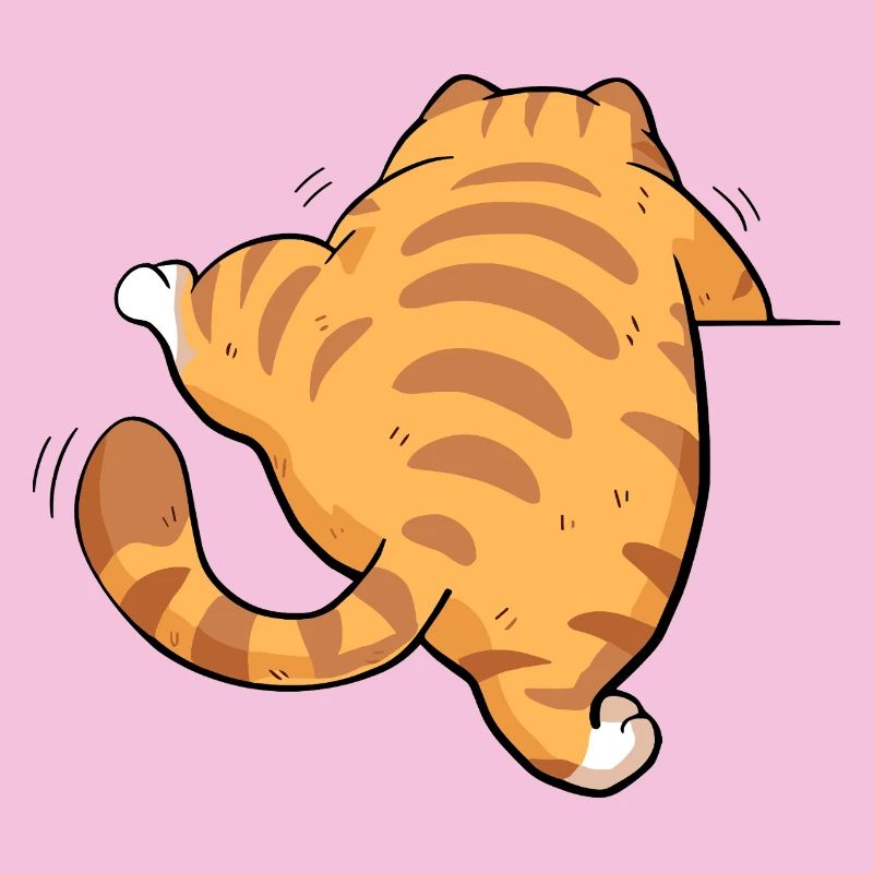 Back view tabby kitten