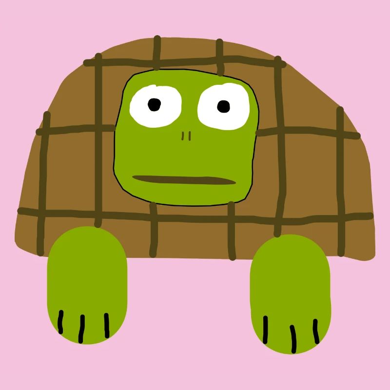 Ugly Turtle