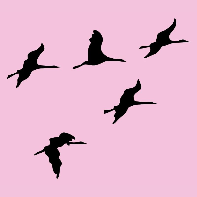 oiseau