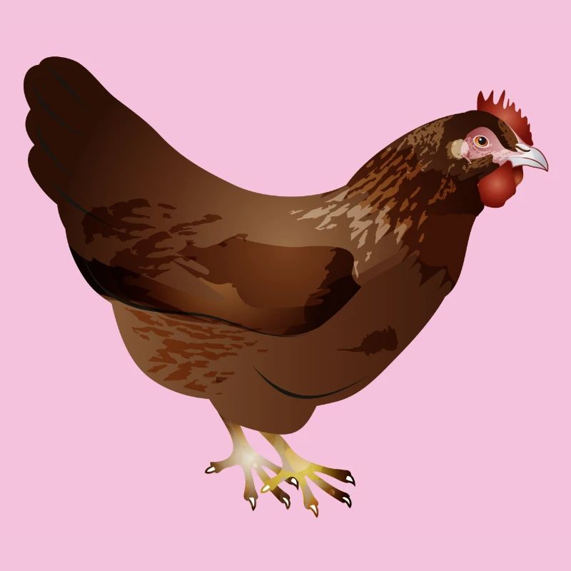 Hand-drawn coloured brown chicken