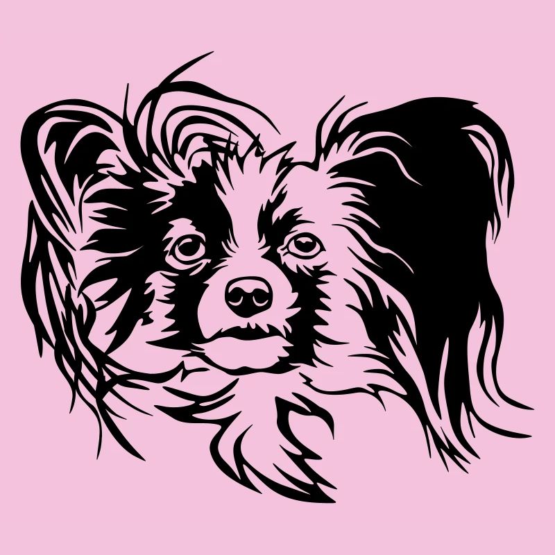 Papillon tête