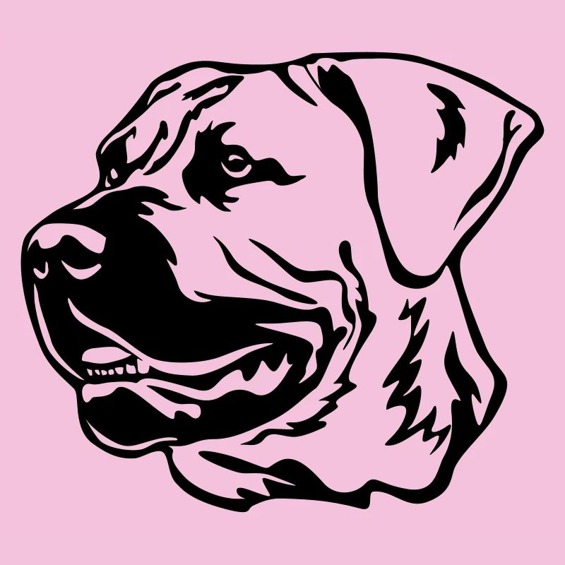 Boerboel Head