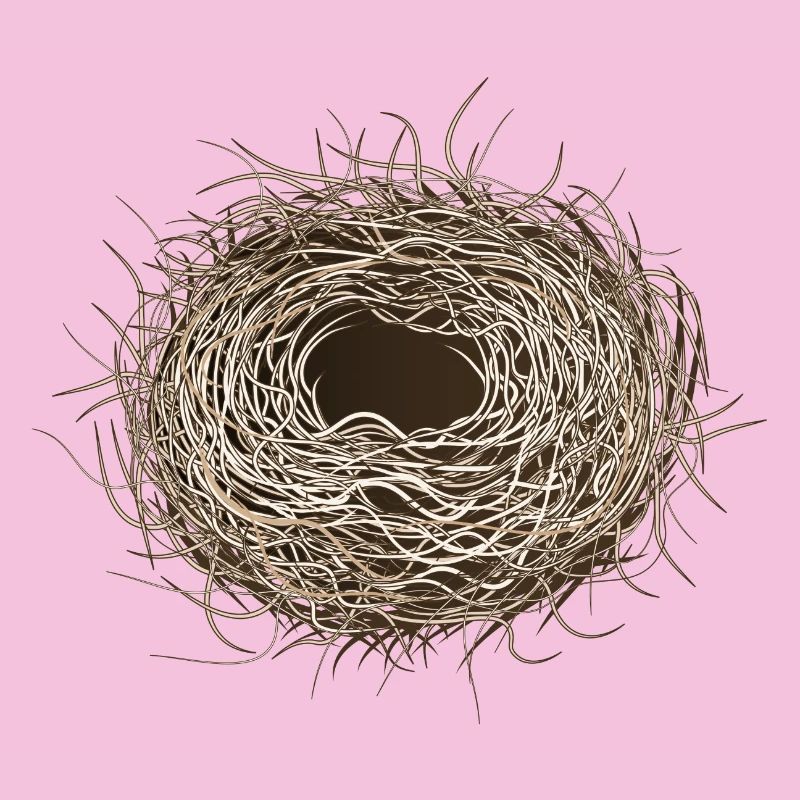 leeres Vogelnest oder Osternest zum Frühling