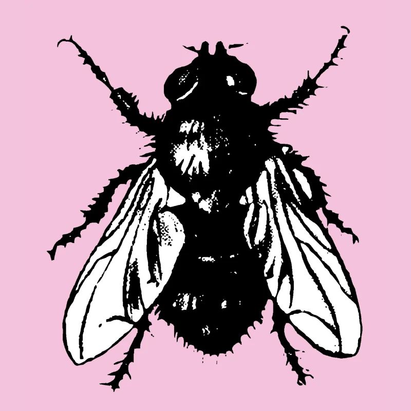 La Mouche