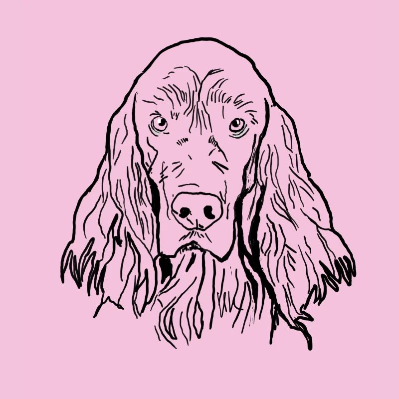 Irish Setter
