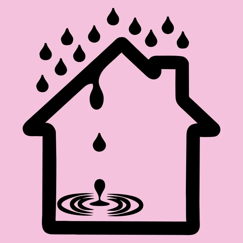 Haus-Leckage-Logo-Dachdecker