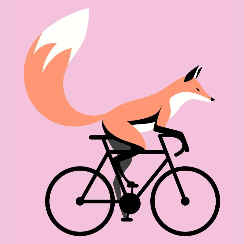 Fahrrad Fuchs