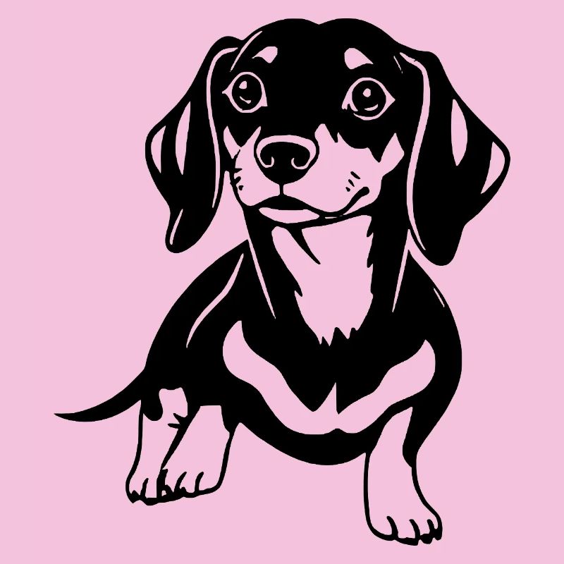 dachshund