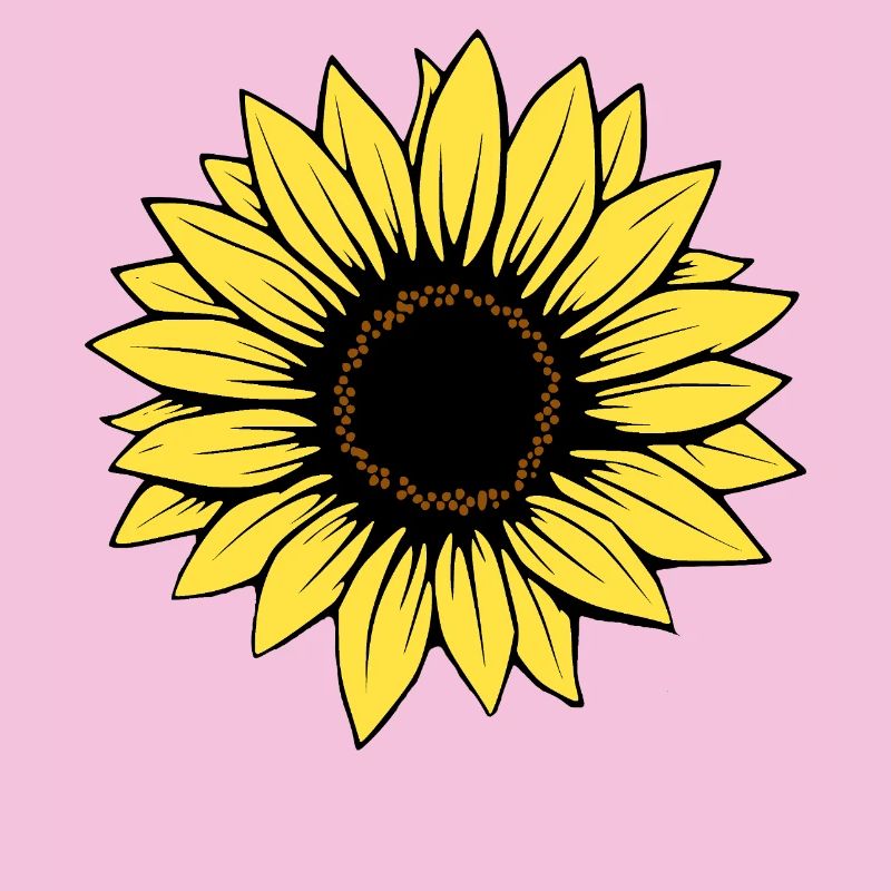 Fleur Fleur Jaune Fleurs Fleur Tournesol Fleur