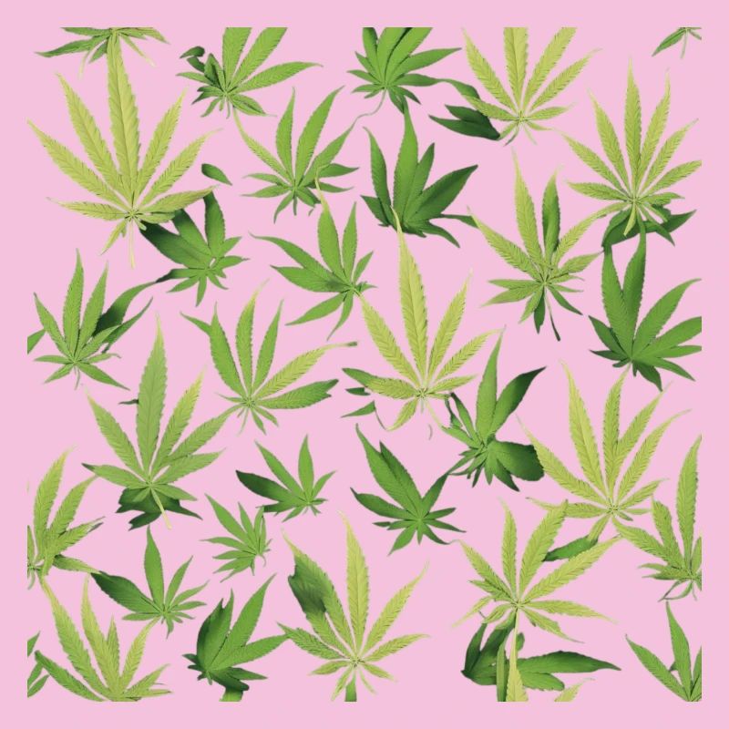 Cannabis 2