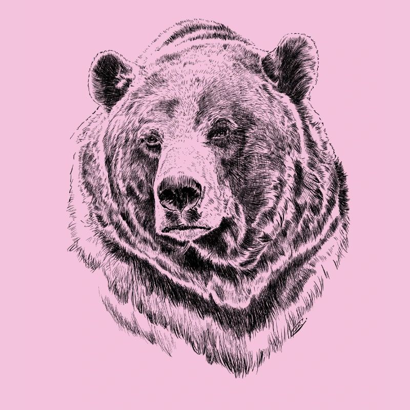 Bär