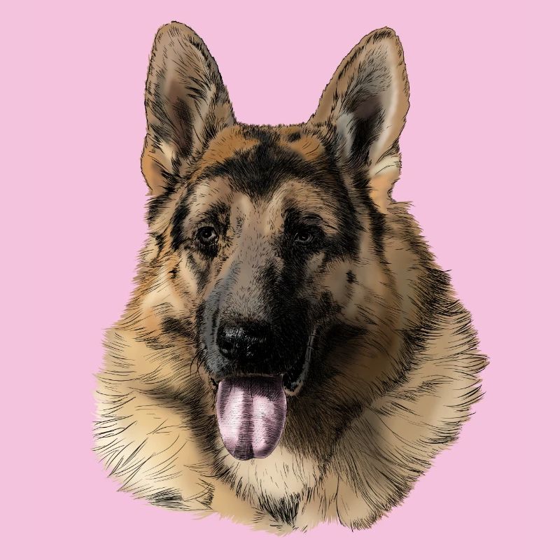 German shepherd