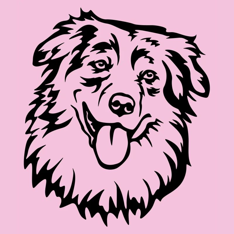 Australian Shepherd Kopf