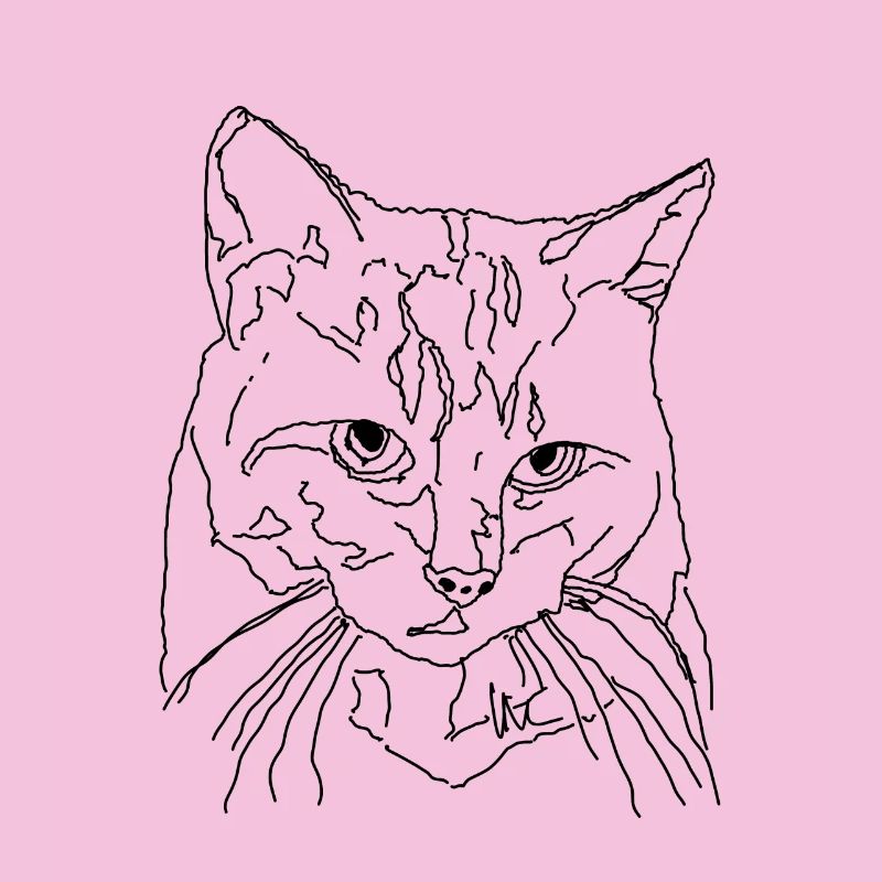 Chat