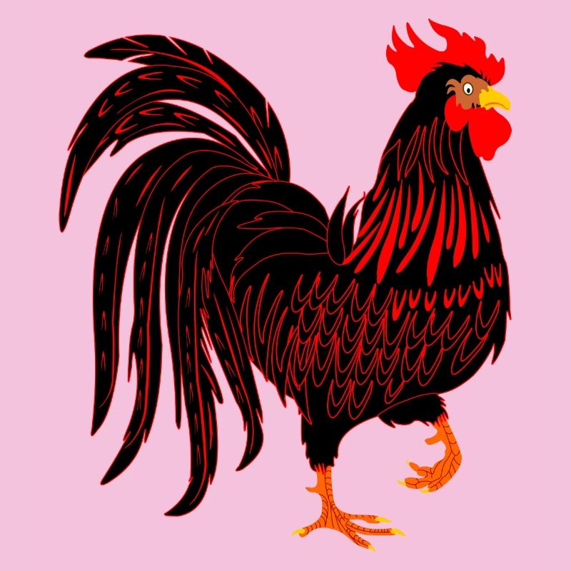 Schwarzer Hahn Coq