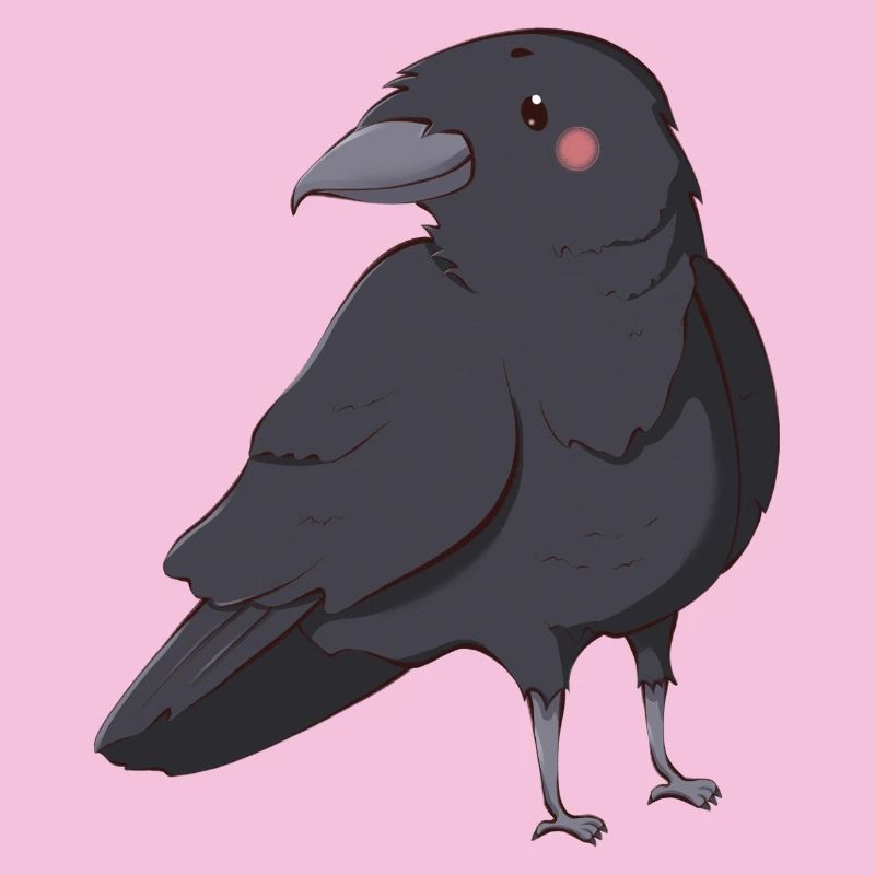 Raven