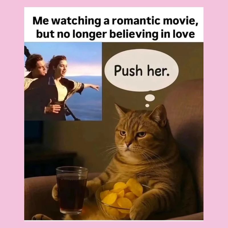 Katze Meme Push Romantik