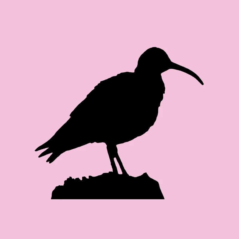 Curlew