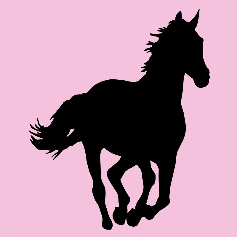Un cheval