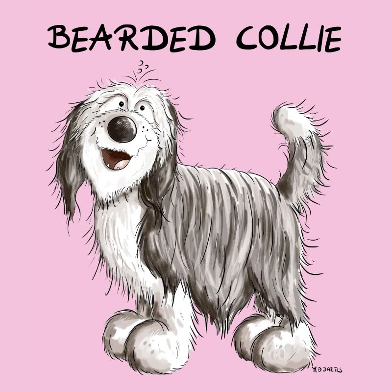 Süßer Bearded Collie
