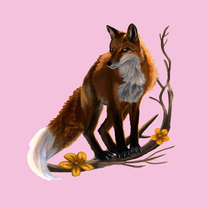 fox