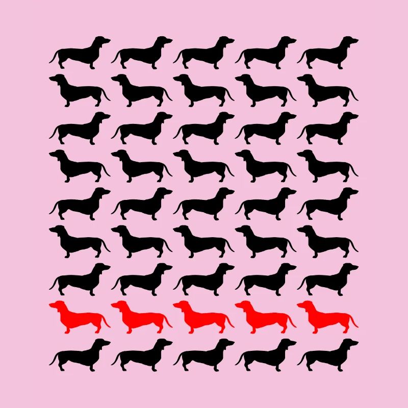 Dackel Dachshund Teckel