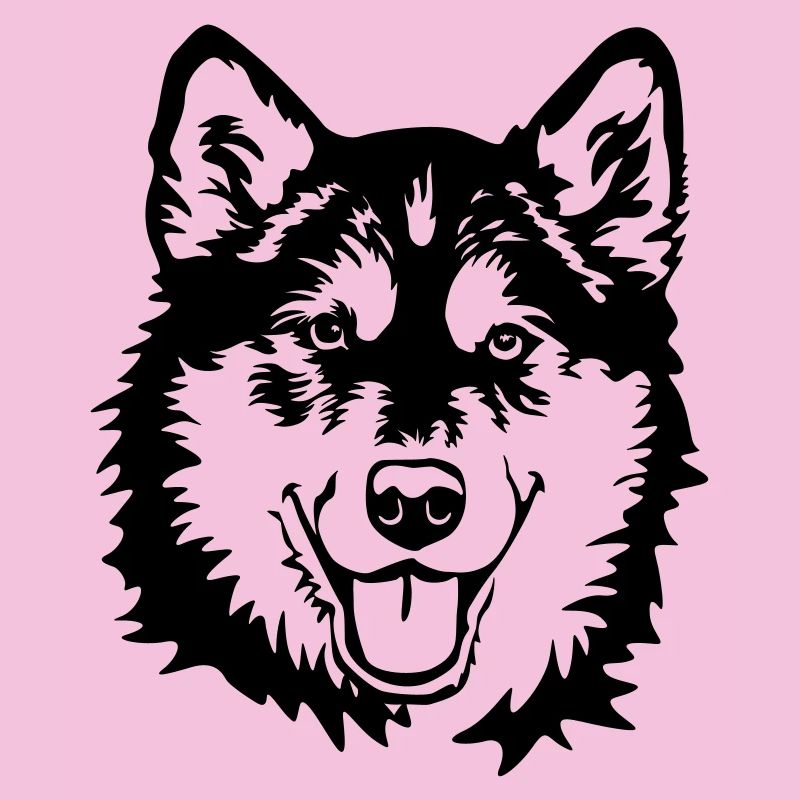 Alaskan Malamute head