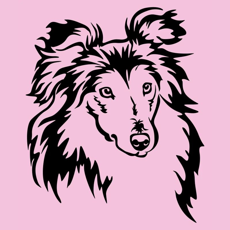 Sheltie Kopf