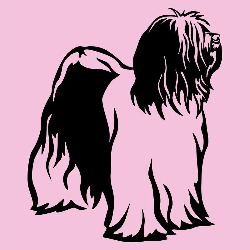 Tibet Terrier