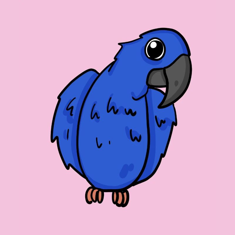 Oiseau perroquet d’ara jacinthe