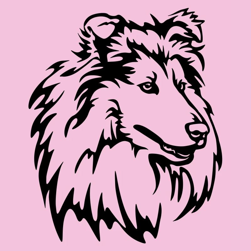 Collie Head