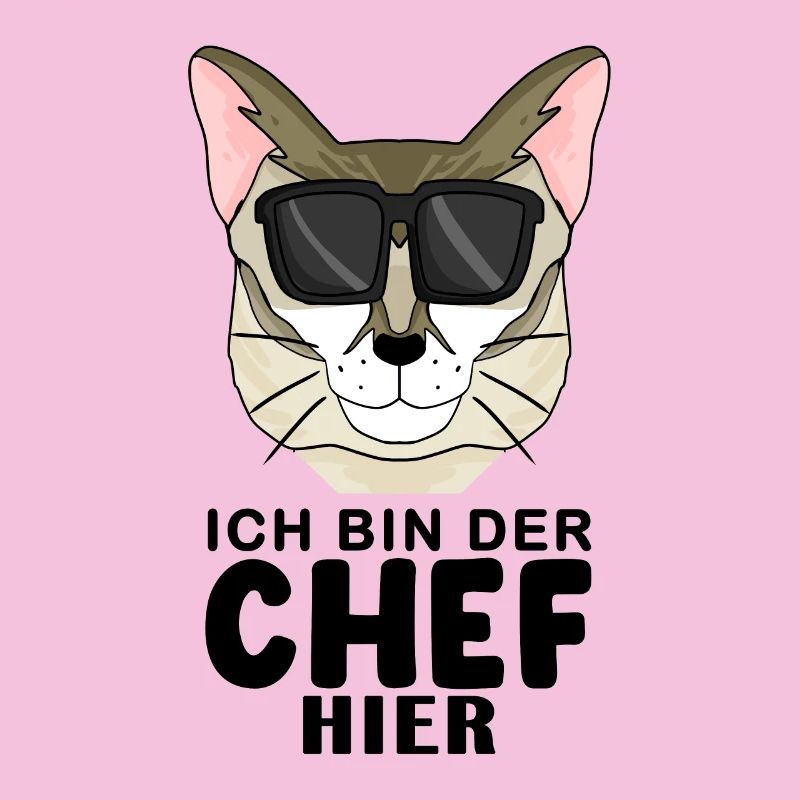 coole Katze - Singapura Katze - Chef Spruch